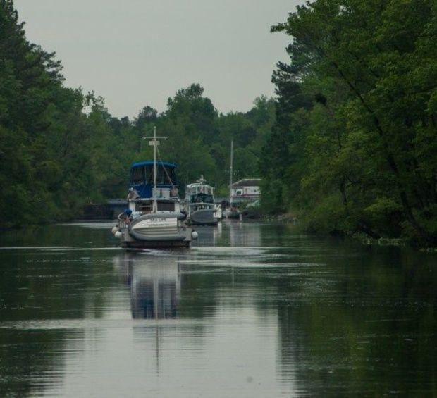 Spring traffic of snowbirds and Loopers in Dismal Swamp Canal