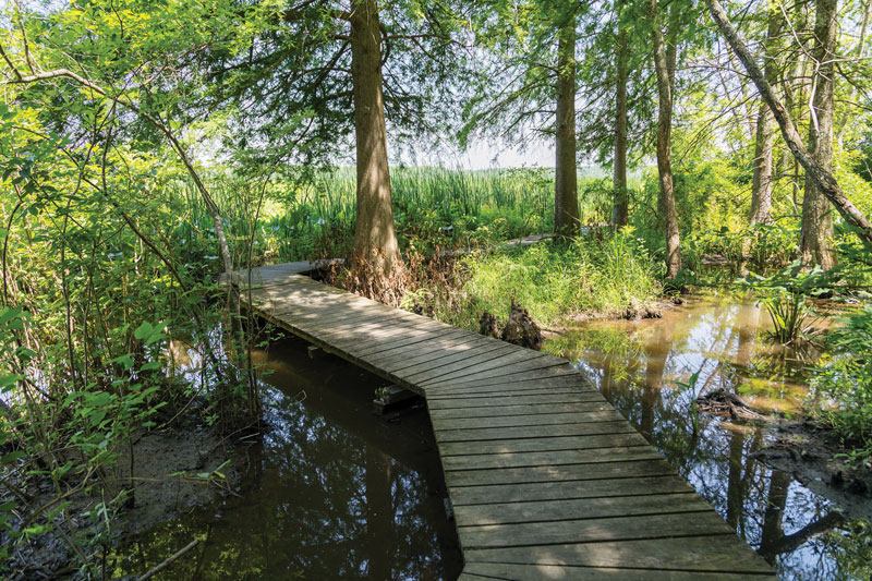 patuxent river