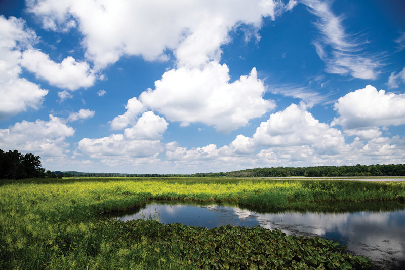 patuxent river