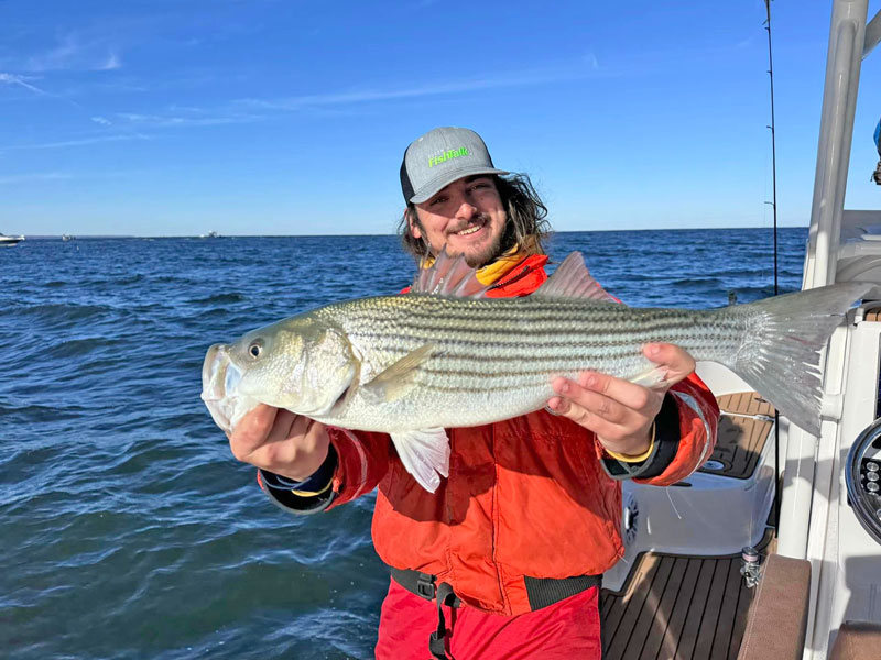 striped bass