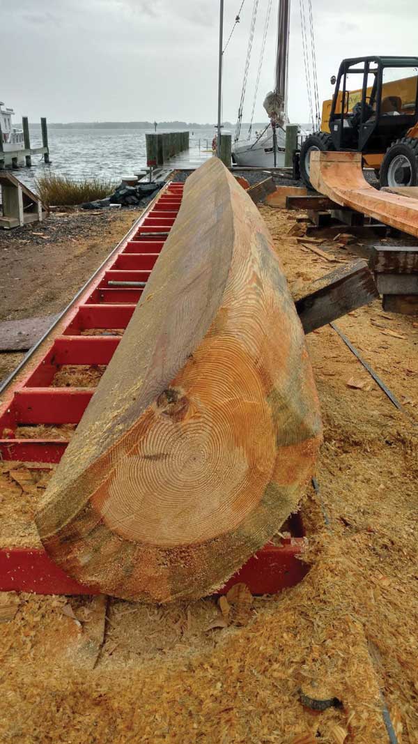 The port garboard log for Caroline takes shape at the Chesapeake Bay Maritime Museum in St Michaels MD.