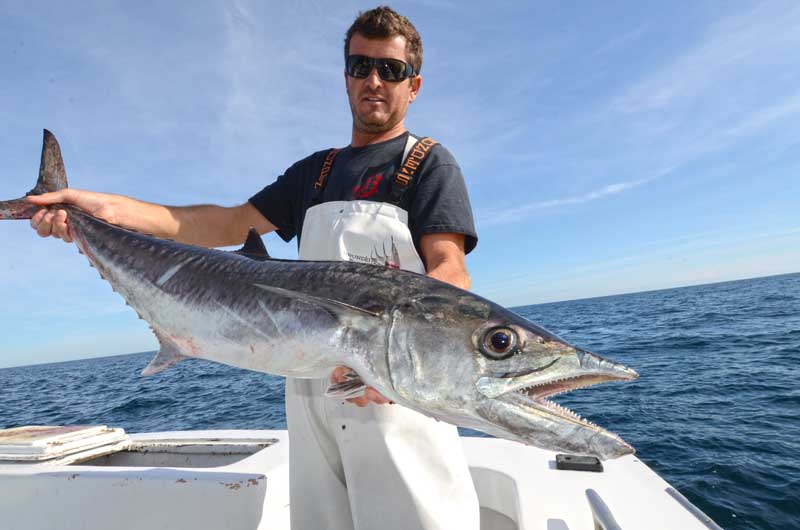 Trolling for Spanish Mackerel in the Chesapeake Bay