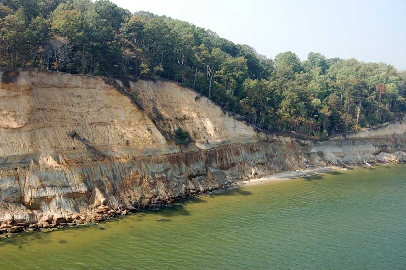 calvert cliffs