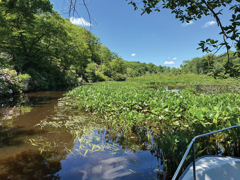 rappahannock