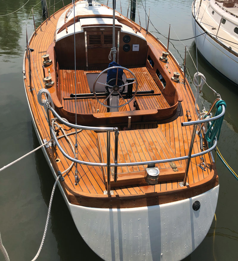 teak care