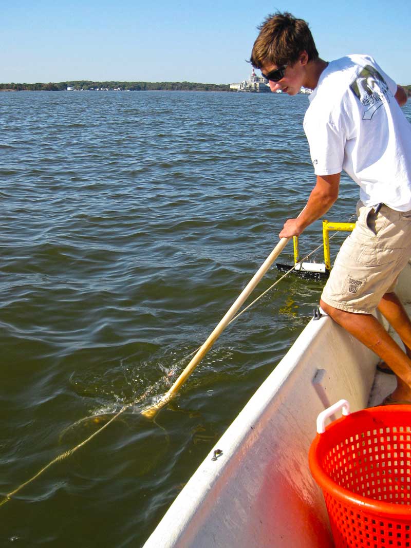 Crabbing 101: Trot Line, Pull Traps, And Chicken Necking, 47% OFF