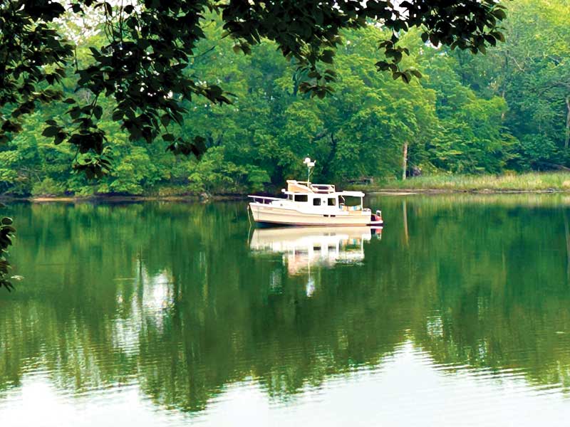 chesapeake bay 