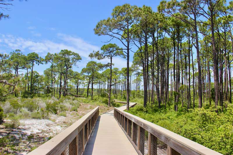 st. george island