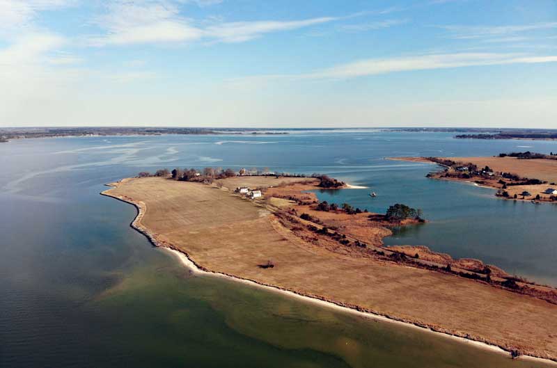 choptank river