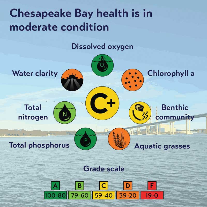 chesapeake bay report card