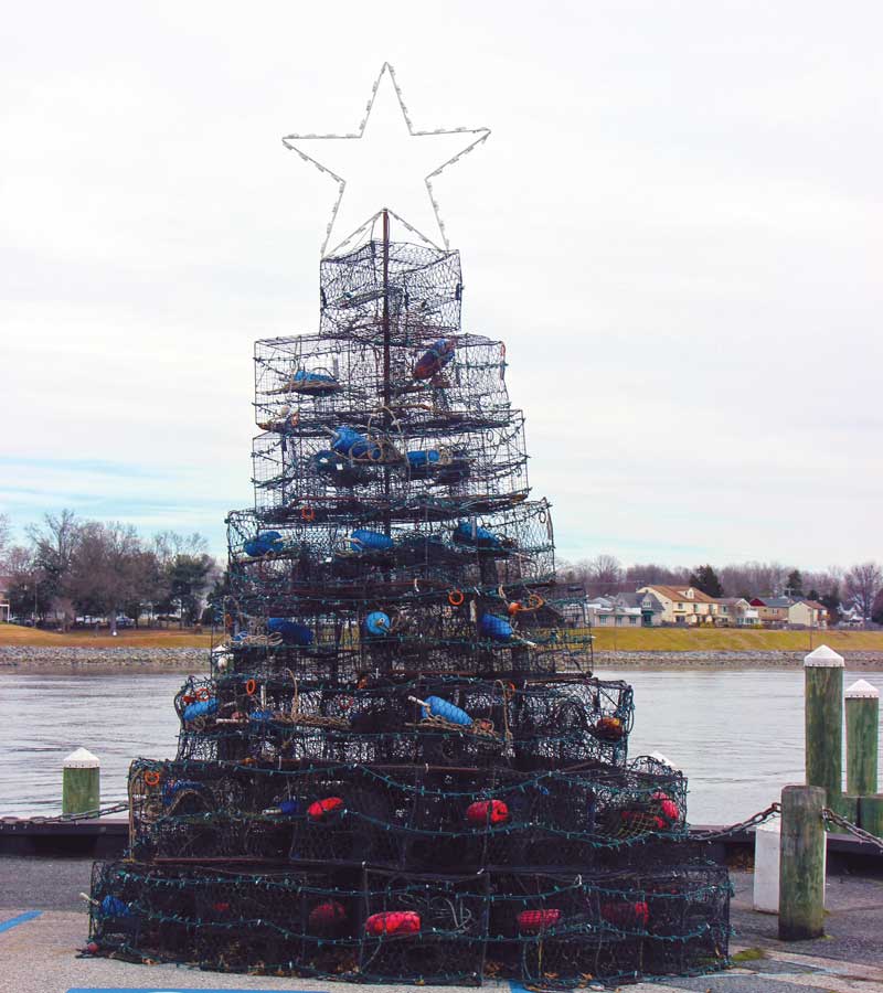 The 12 Days of Chesapeake Christmas Card