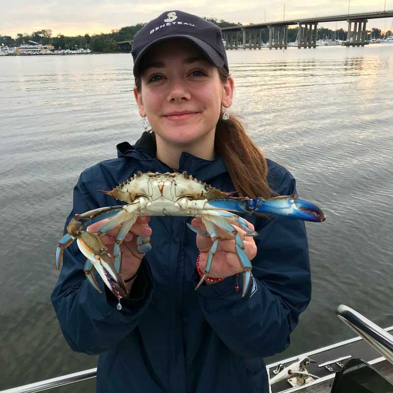 Maryland Crabbing Regulations PropTalk