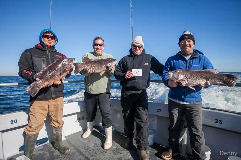Looking for a winter fishing escape? Winter tog fishing out of Lewes, Indian River, and Ocean City is a worthy endeavor. Photo courtest of Capt. Monty Hawkins on Morning Star out of Ocean City, MD