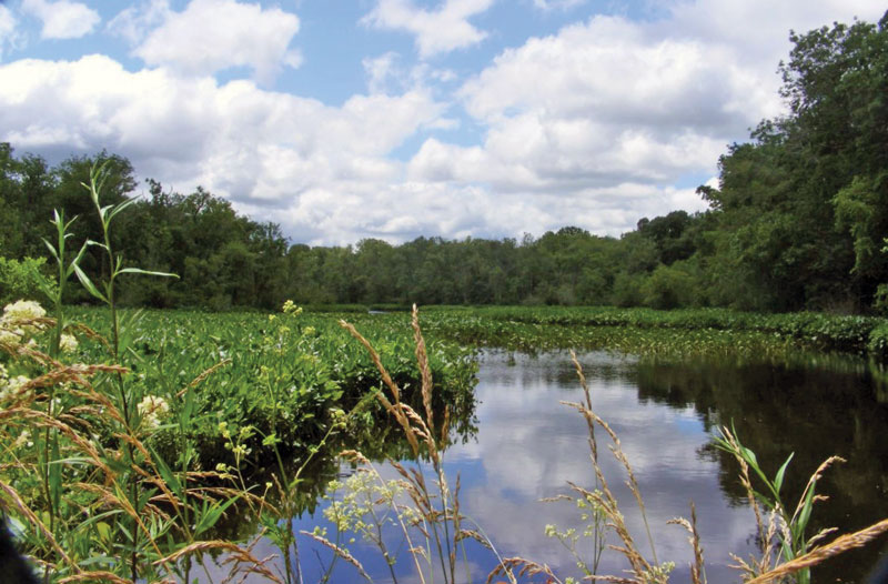 chesapeake national historic trail