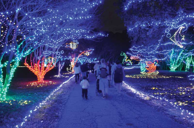 Norfolk Botanical Gardens Christmas Lights Fasci Garden