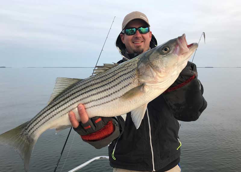 Survey Finds Healthy Striped Bass Reproduction in Maryland Portion