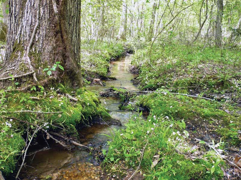 national wildlife refuge