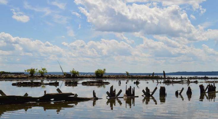 mallows bay