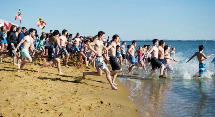 polar bear plunges