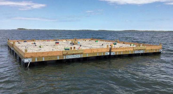 nesting platform