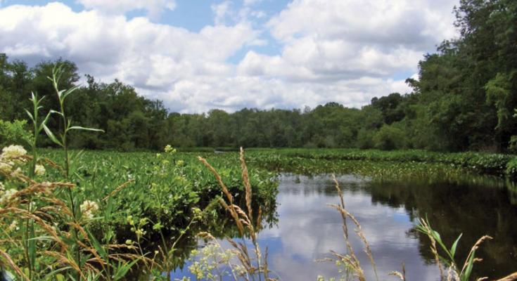 chesapeake national historic trail