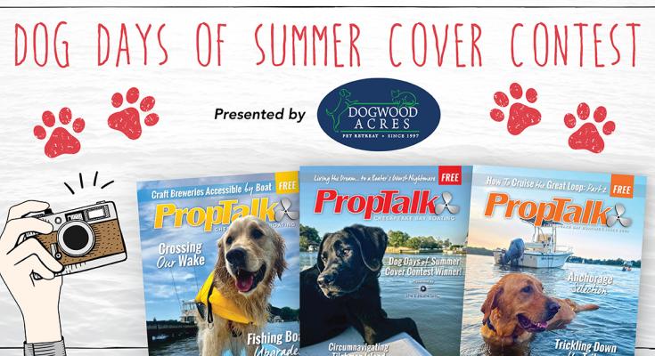 cover contest