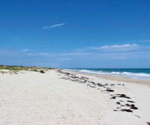 st. george island