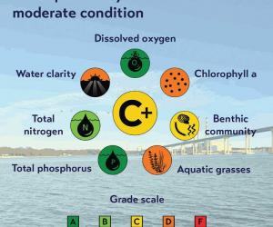 chesapeake bay report card