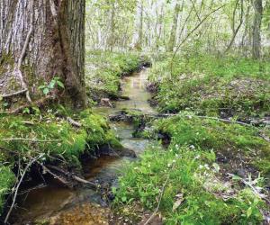 national wildlife refuge