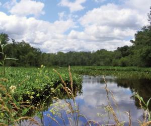 chesapeake national historic trail