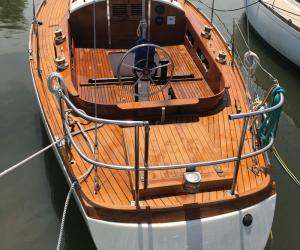 teak care