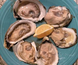 oyster