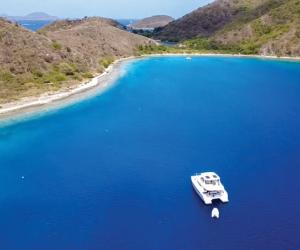 bvi