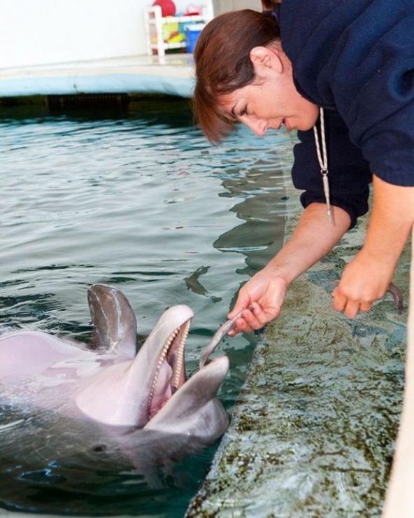 Photo courtesy of the National Aquarium in Baltimore