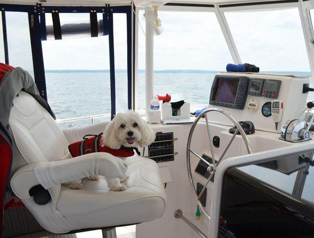 Mr. Wilson loves sitting at the helm. Photo by Barbara Freedman