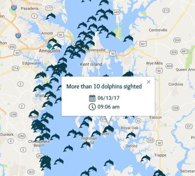 Users can view all of the reported dolphin sightings on the Bay and tap to report their own sightings.