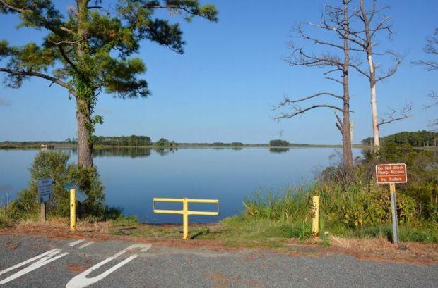 Route 335 car top launch access site. Certain hunt sites are only accessible by boat. Photos courtesy Blackwater NWR