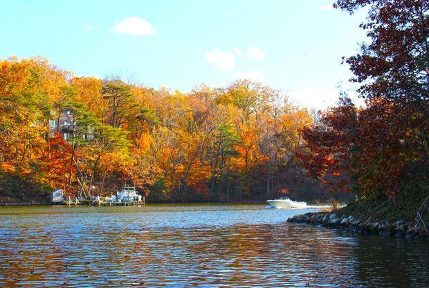 This was the second best year on record for dissolved oxygen conditions in Maryland's portion of the Chesapeake Bay. This was the second best year on record for dissolved oxygen conditions in Maryland's portion of the Chesapeake Bay.