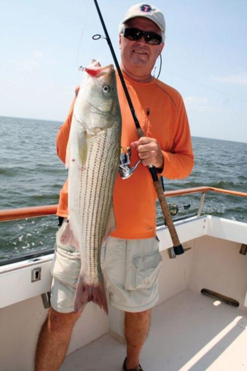 Fishing Rods for sale in Annapolis, Maryland