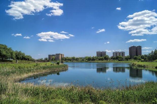 Two of the projects are in Druid Hill Park.