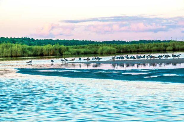 Wetipquin Creek on the Nanticoke River. Photo by Peter Turcik/ Chesapeake Conservancy