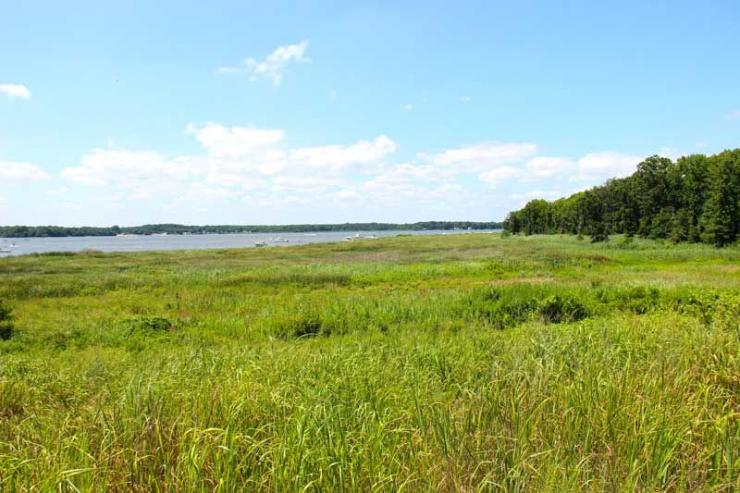 Since 2009, the environmental financing program has directed $400 million to local governments and nonprofits for more than 2200 nonpoint source pollution projects.