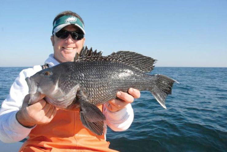 Sea Bass, Some Flounder and A Nice Ocean Trout - Ocean City MD Fishing