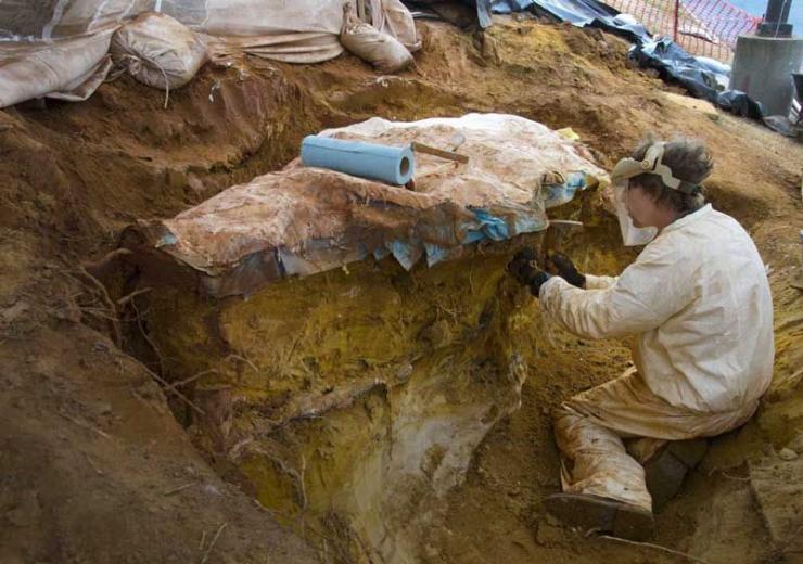 NASA and Calvert Marine Museum contractor, Michael Godfrey, works to excavate the slab containing the fossil footprints in January 2013 (Rebecca Roth/NASA/GSFC)