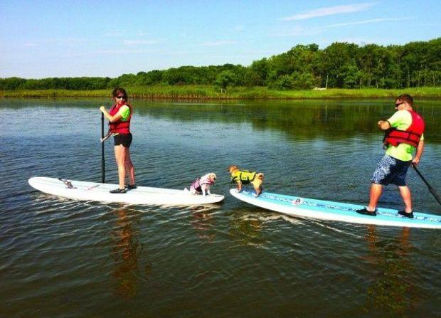 A SUP dog tour on Dundee Creek. Photo by Ultimate Watersports A SUP dog tour on Dundee Creek. Photo by Ultimate Watersports