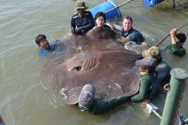 Photo via Jeff Corwin's Facebook page