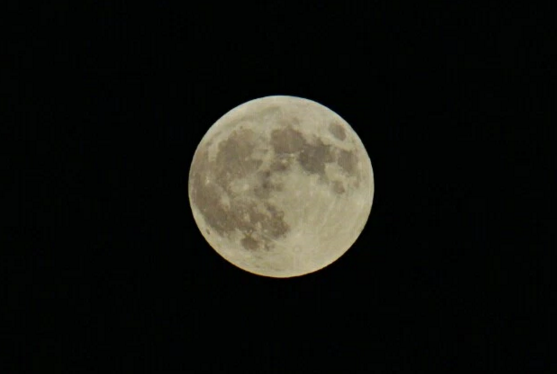 Harvest moon photo captured by Nicci DeAngelo in September. Harvest moon photo captured by Nicci DeAngelo in September.