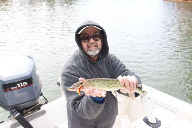 how to catch a 2lb.8oz pickerel on neherrin river has the biggest pickerals in fishing planet